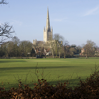 Buy canvas prints of  Norwich Cathedral Norfolk UK by Sally Lloyd