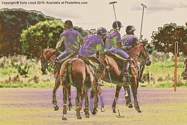  Polo in colour Picture Board by Sally Lloyd