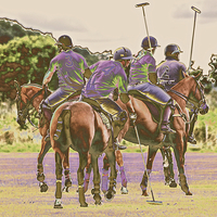 Buy canvas prints of  Polo in colour by Sally Lloyd