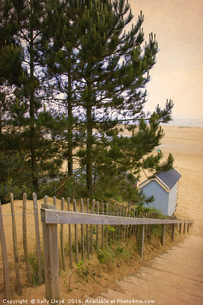 Single Blue Beach Hut Framed Mounted Print by Sally Lloyd