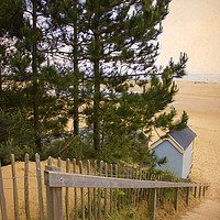Buy canvas prints of Single Blue Beach Hut by Sally Lloyd