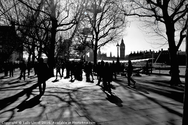 Southbank Shadows, London Picture Board by Sally Lloyd