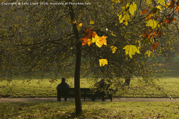 On the bench - Autumn Picture Board by Sally Lloyd