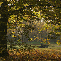 Buy canvas prints of London Park 2 Autumn by Sally Lloyd