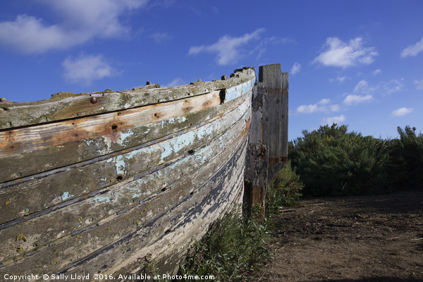 The old boat at Blakeney Picture Board by Sally Lloyd