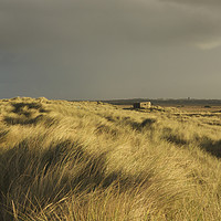 Buy canvas prints of Inland from the dunes Horsey by Sally Lloyd