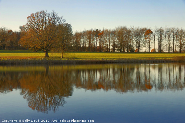 Reflections at Blickling in Norfolk  Picture Board by Sally Lloyd