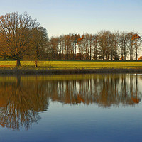 Buy canvas prints of Reflections at Blickling in Norfolk  by Sally Lloyd