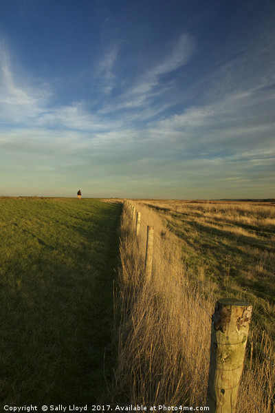 The path to Cley Picture Board by Sally Lloyd