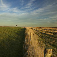 Buy canvas prints of The path to Cley by Sally Lloyd