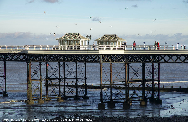 Cromer Pier on the north Norfolk coast January Blu Picture Board by Sally Lloyd