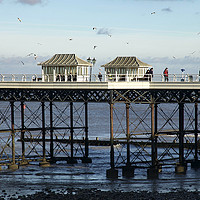 Buy canvas prints of Cromer Pier on the north Norfolk coast January Blu by Sally Lloyd
