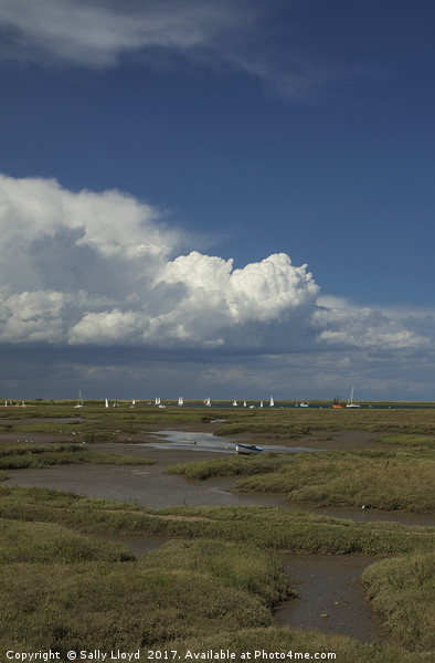  Skyscape Brancaster, Norfolk Picture Board by Sally Lloyd