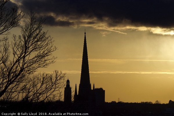 Norwich Cathedral Spire at sunset Picture Board by Sally Lloyd