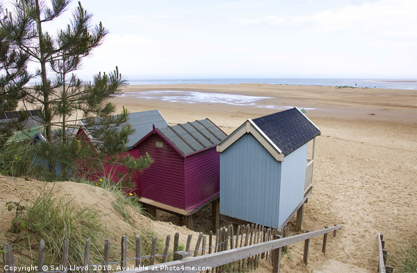 Pink and Blue Beach huts at Wells-next-the-Sea Picture Board by Sally Lloyd