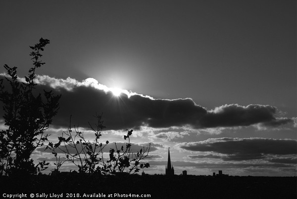 Norwich Cathedral Mono Sunset Picture Board by Sally Lloyd