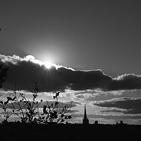 Buy canvas prints of Norwich Cathedral Mono Sunset by Sally Lloyd