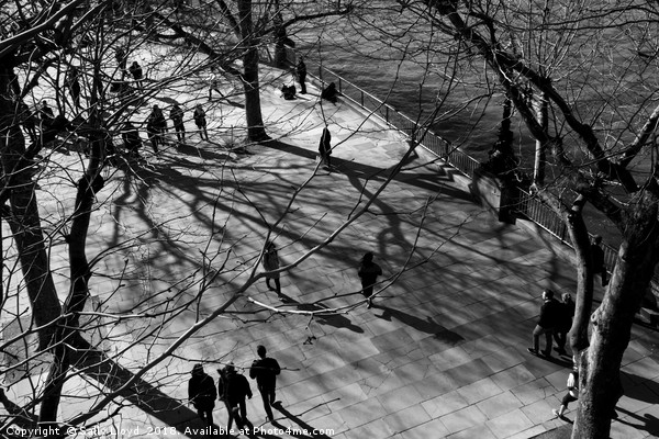 Southbank Shadows 2 Picture Board by Sally Lloyd