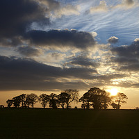Buy canvas prints of Wintry Norfolk Sunset by Sally Lloyd