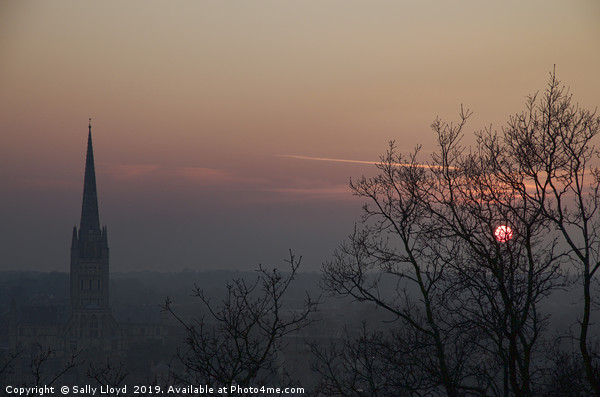 Red Sunset at Norwich Cathedral  Picture Board by Sally Lloyd