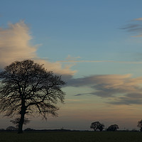 Buy canvas prints of Standing against a sunset sky. by Sally Lloyd