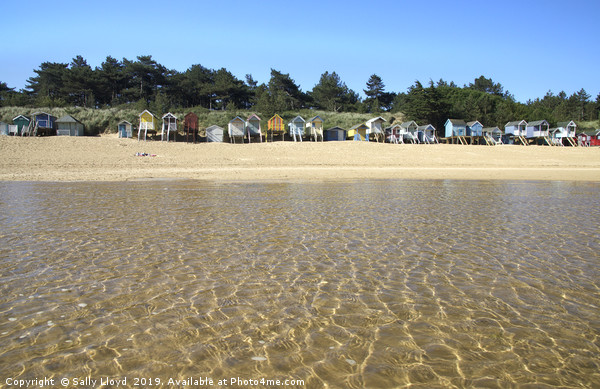 Beach huts from the water at Wells-Next-the-Sea  Picture Board by Sally Lloyd