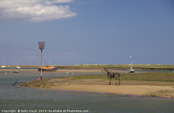 The Lifeboat Horse at Wells-next-the-Sea Picture Board by Sally Lloyd