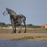 Buy canvas prints of The Lifeboat Horse at Wells-next-the-Sea by Sally Lloyd
