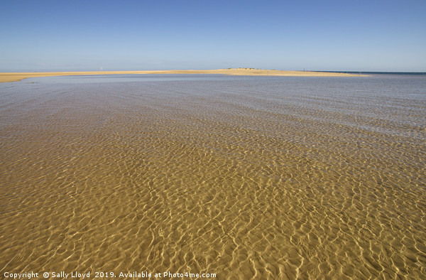Water Ripples over the sand at Wells-next-the-sea Picture Board by Sally Lloyd