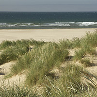Buy canvas prints of Through the marram grass dunes at Holkham beach by Sally Lloyd