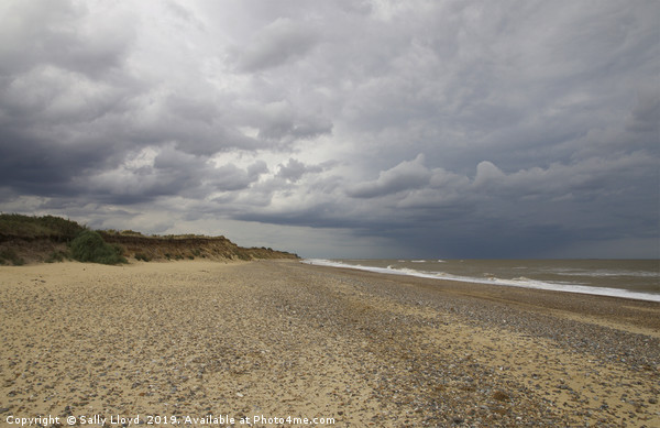 Stormy sky at Covehithe in Suffolk Picture Board by Sally Lloyd