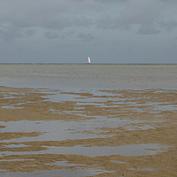 Buy canvas prints of White Sail on the Horizon by Sally Lloyd