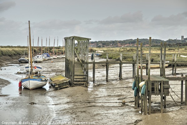 Low tide betwixt Morston and Blakeney Picture Board by Sally Lloyd
