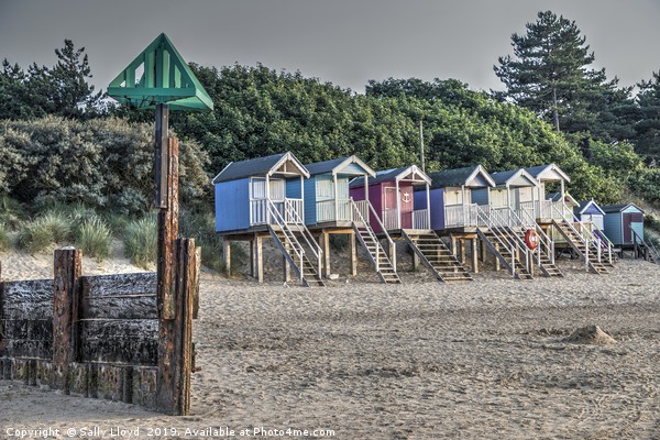 Beach huts and marker at Wells next the Sea, Norfo Picture Board by Sally Lloyd