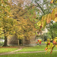 Buy canvas prints of Autumnal Cow Tower, Norwich by Sally Lloyd