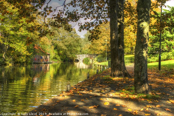 Autumnal River Wensum Norwich Picture Board by Sally Lloyd