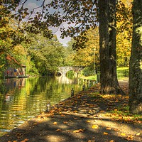Buy canvas prints of Autumnal River Wensum Norwich by Sally Lloyd