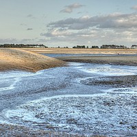 Buy canvas prints of Winter low tide at East Hills by Sally Lloyd