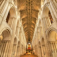 Buy canvas prints of Norwich Cathedral  by Sally Lloyd