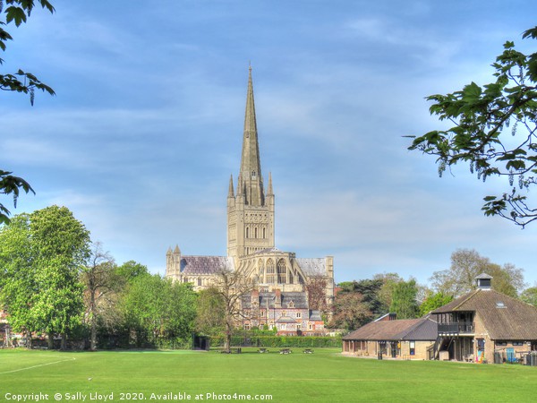 Norwich Cathedral April 2020 Picture Board by Sally Lloyd