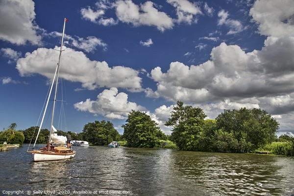Summer day on the River Bure, Norfolk UK Picture Board by Sally Lloyd