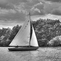Buy canvas prints of Sailing on the Bure, Norfolk UK by Sally Lloyd