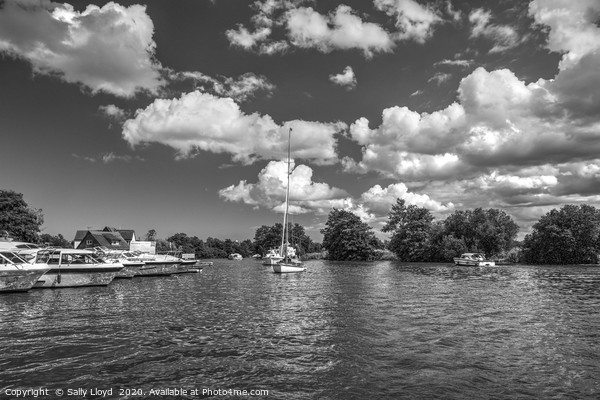 The River Bure, Horning  Picture Board by Sally Lloyd