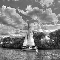 Buy canvas prints of Summer Sail on The Bure, Norfolk UK by Sally Lloyd
