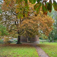 Buy canvas prints of Autumn at Cow Tower, Norwich by Sally Lloyd