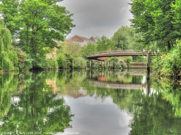 Jarrold Bridge, Norwich Picture Board by Sally Lloyd
