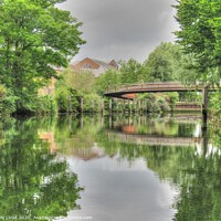 Buy canvas prints of Jarrold Bridge, Norwich by Sally Lloyd