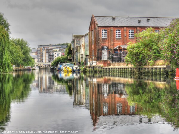 The River Wensum, Norwich UK Picture Board by Sally Lloyd