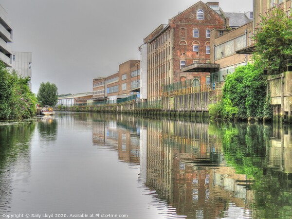River Wensum, Norwich  Picture Board by Sally Lloyd