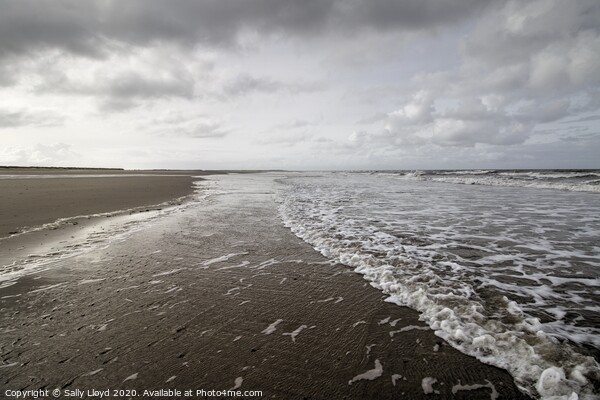 Holkham Autumn Tide Picture Board by Sally Lloyd
